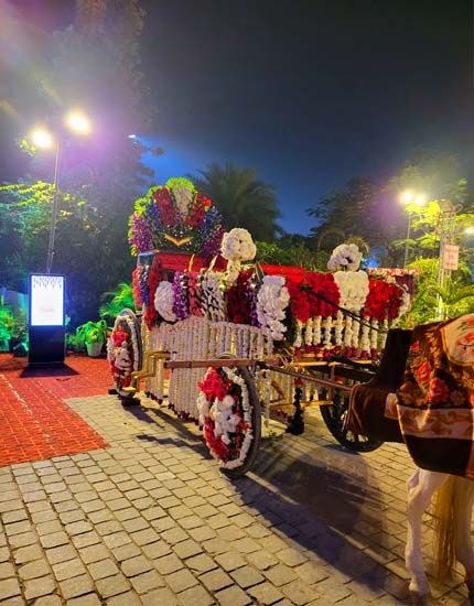  Sindhi Hira Nand Ghori Wala